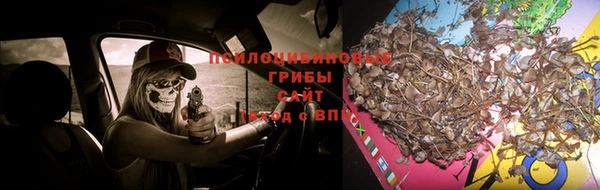 каннабис Бронницы