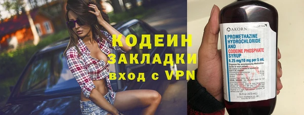 амф Бородино