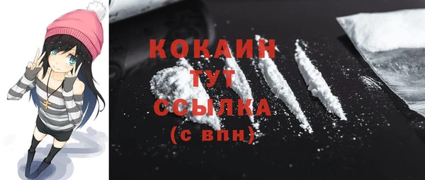 амф Бородино