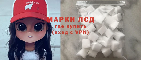 амф Бородино