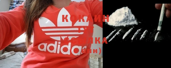 амф Бородино