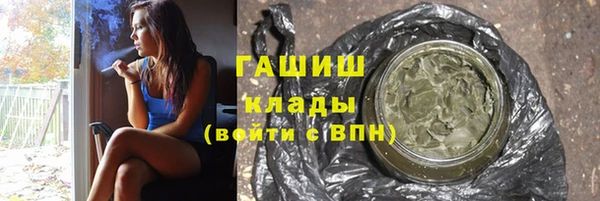 амф Бородино